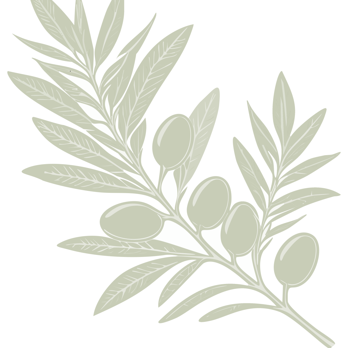 Logo Olive_Nathalie Weber