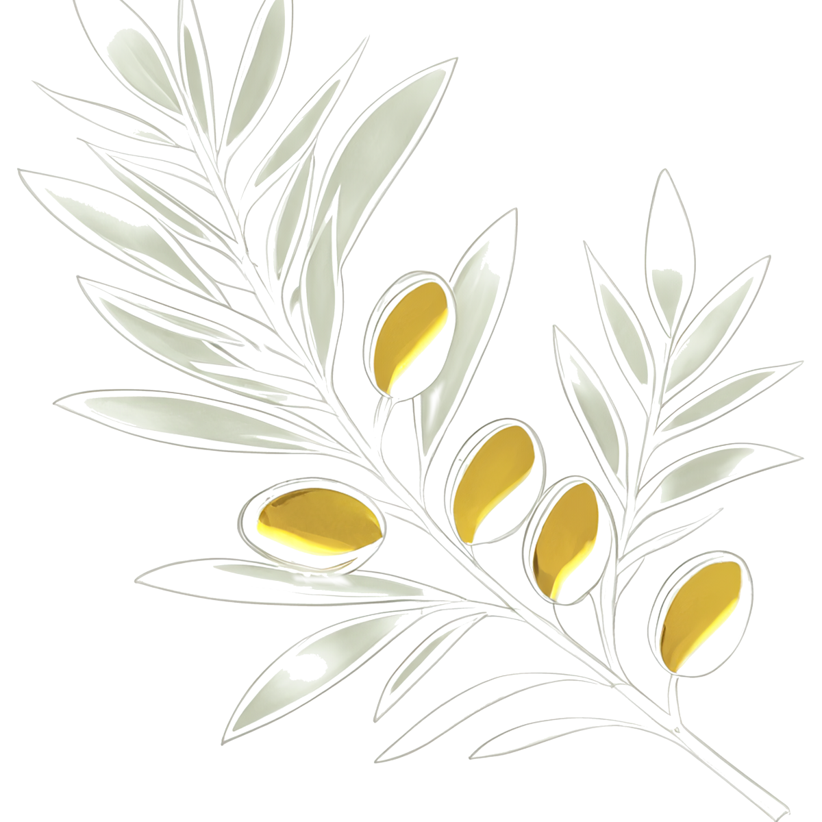 Oliven Logo_Nathalie Weber