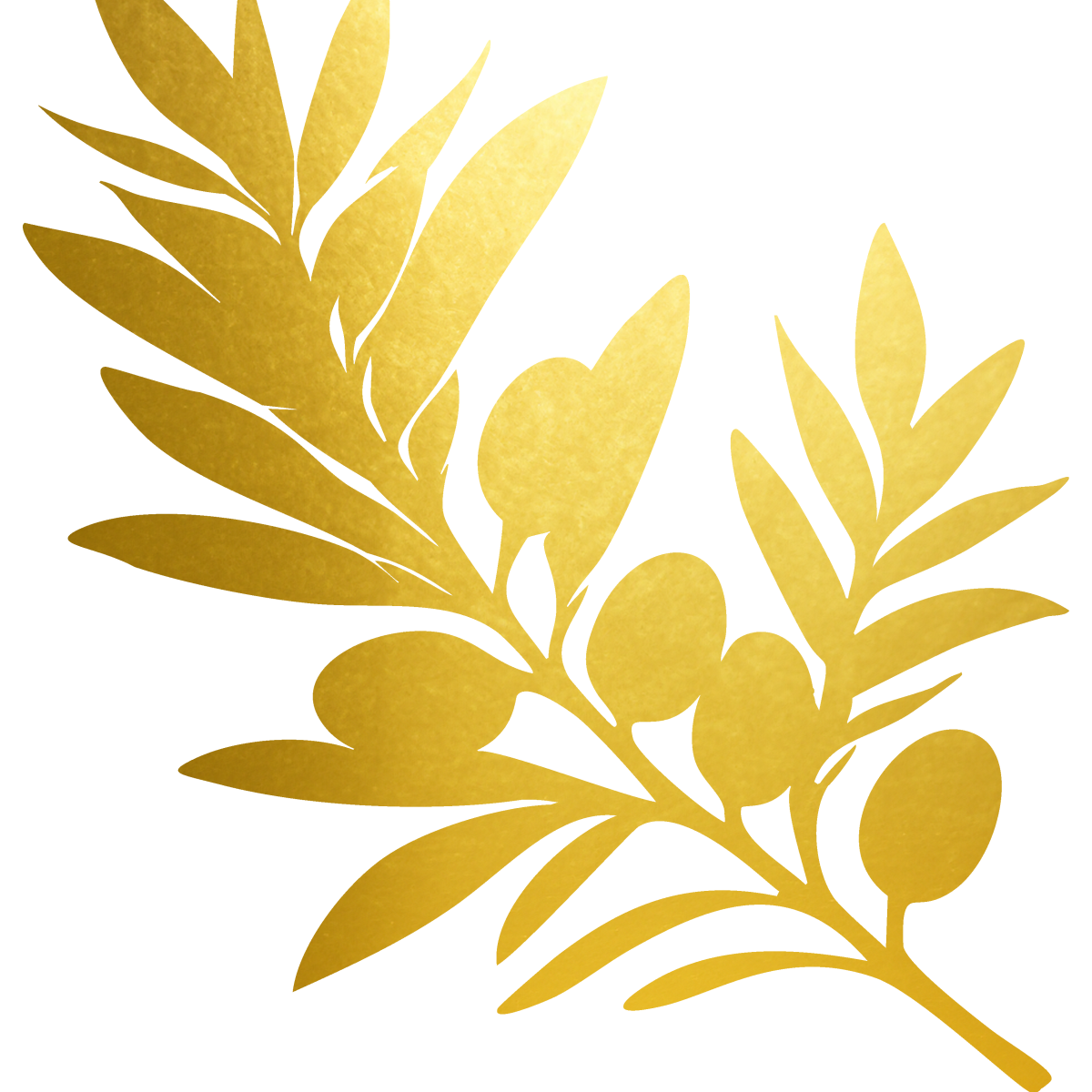 goldig logo 3_Nathalie Weber